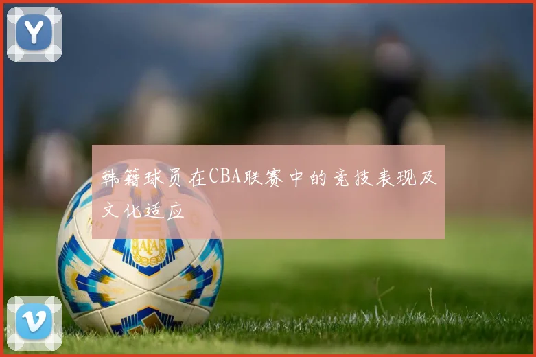韩籍球员在CBA联赛中的竞技表现及文化适应