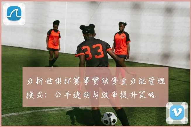 分析世俱杯赛事赞助资金分配管理模式：公平透明与效率提升策略