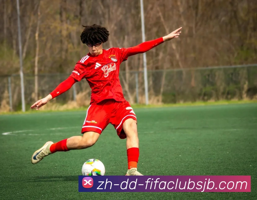 App Interface Preview